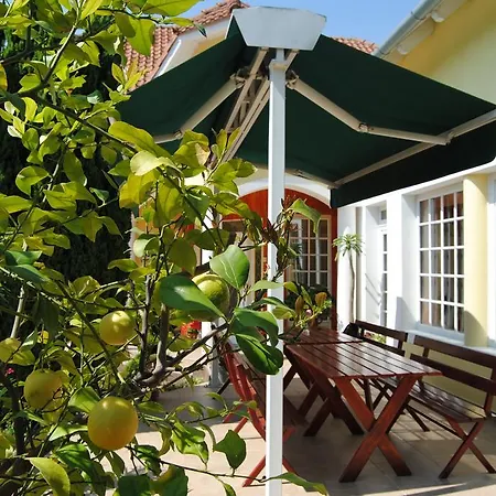 Hedi Maison d'hôtes