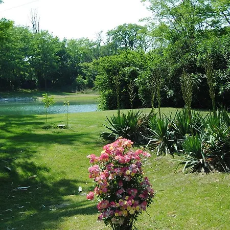 Gæstehus Hedi Dunakiliti